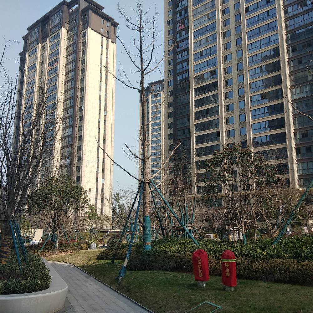 景观房保真苏溪印象260平楼中楼带双车位送100平露台