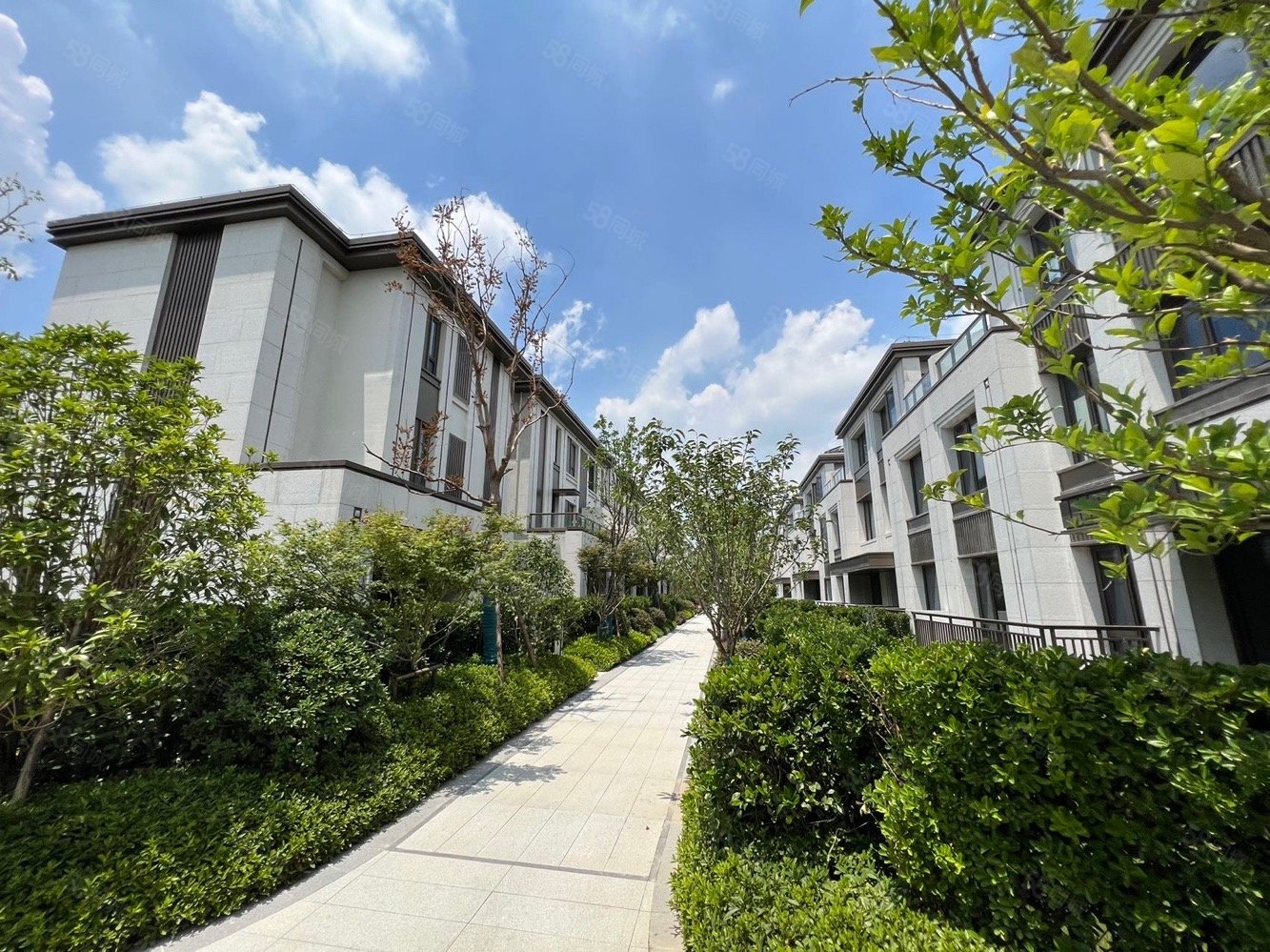 国贸佘山原墅6室2厅4卫212㎡南960万