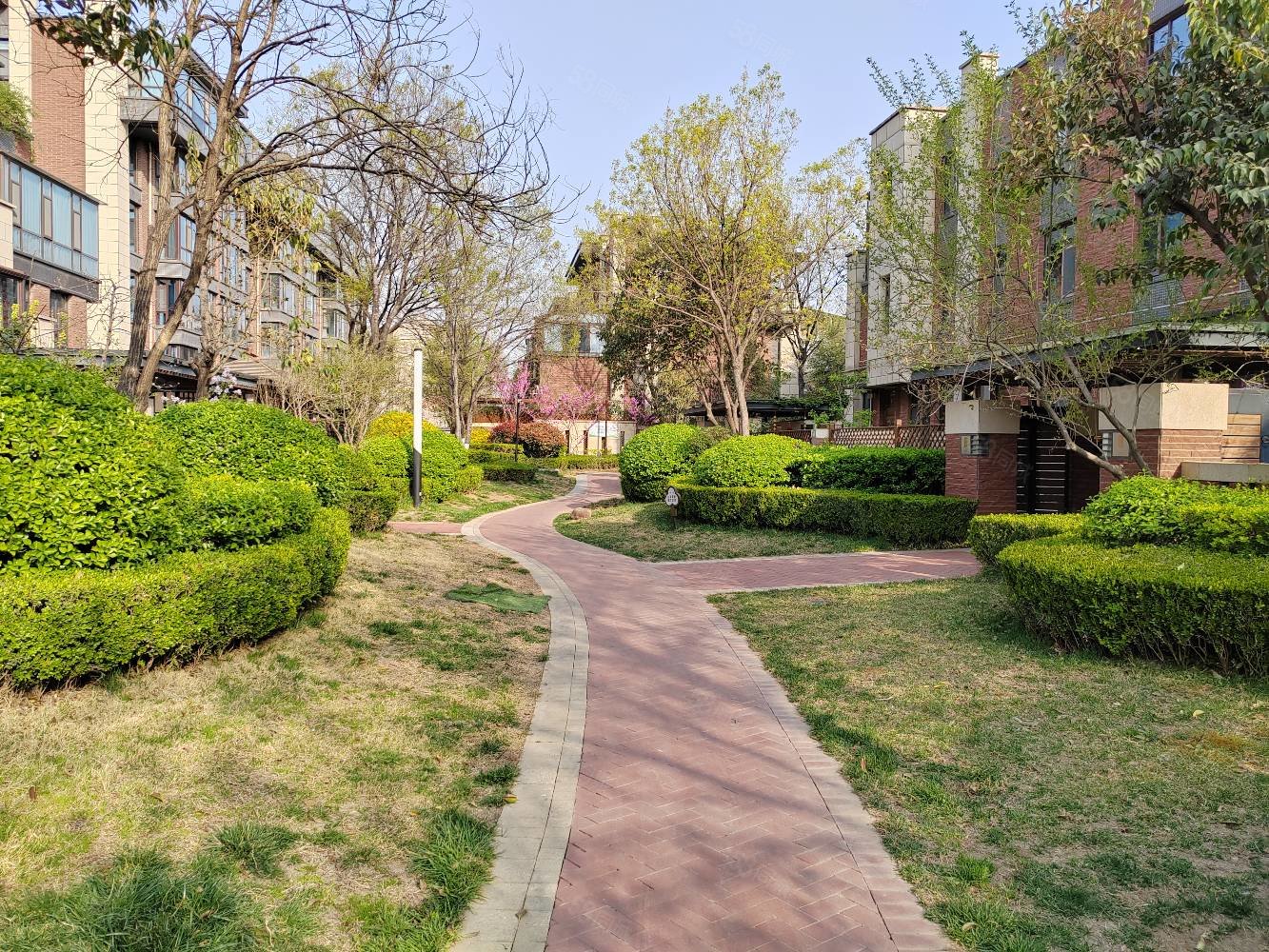 紫园(别墅)5室3厅4卫418㎡南695万