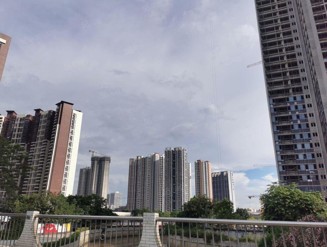 星樾山畔 本人有一批内转房现楼交付 看房有钥匙,星樾山畔-广州58同城