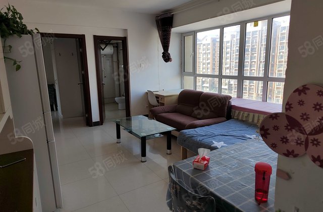 文轩   ，南北通透小户型    。好楼层边套