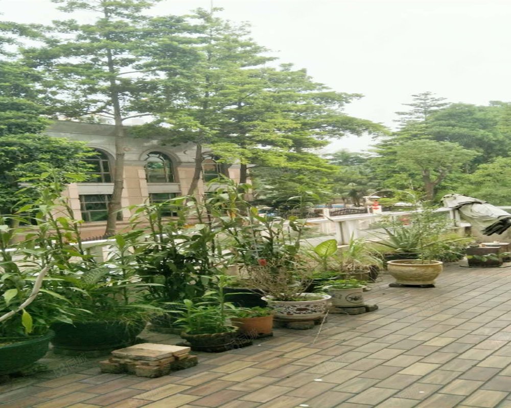 【愉景花园(别墅), 愉景花园(别墅)小区详情,房价走势,房源,业主论坛