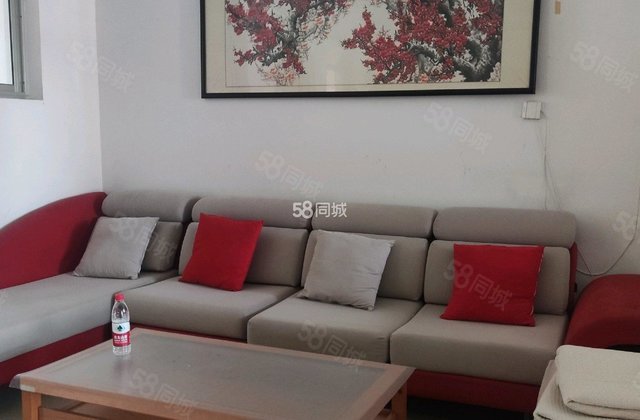 文轩 朝南小三居 房东直卖送地下室