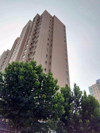 41中片 裕华路沿线 世纪名园 毛坯原房 通透三居 随时看房