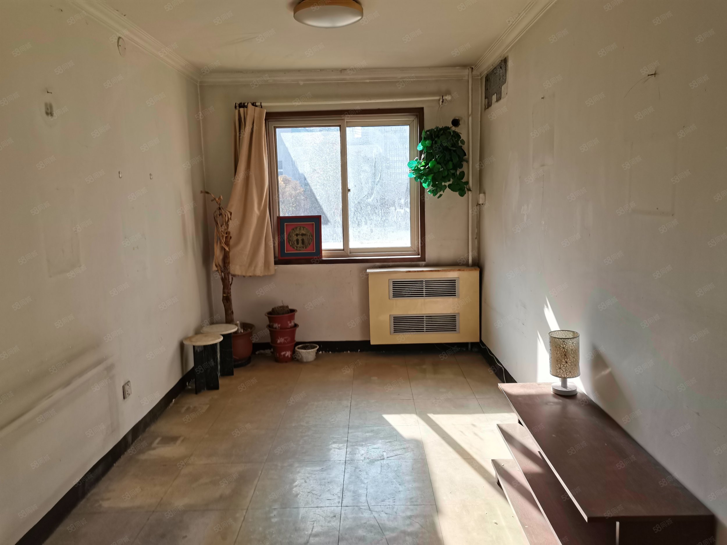 東中街小區(qū)(西區(qū))3室1廳1衛(wèi)77.82㎡南北610萬