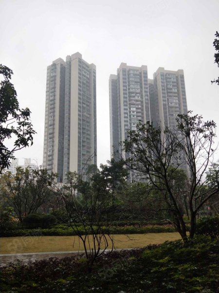 【荣和千千树房价走势,荣和千千树房屋出租,荣和千千树二手房出售】