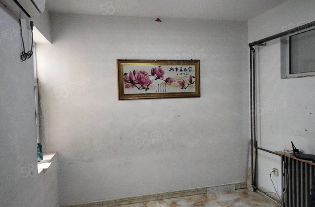 文轩2百 低楼层48万一口价！！另有顶楼50  谈。送储。