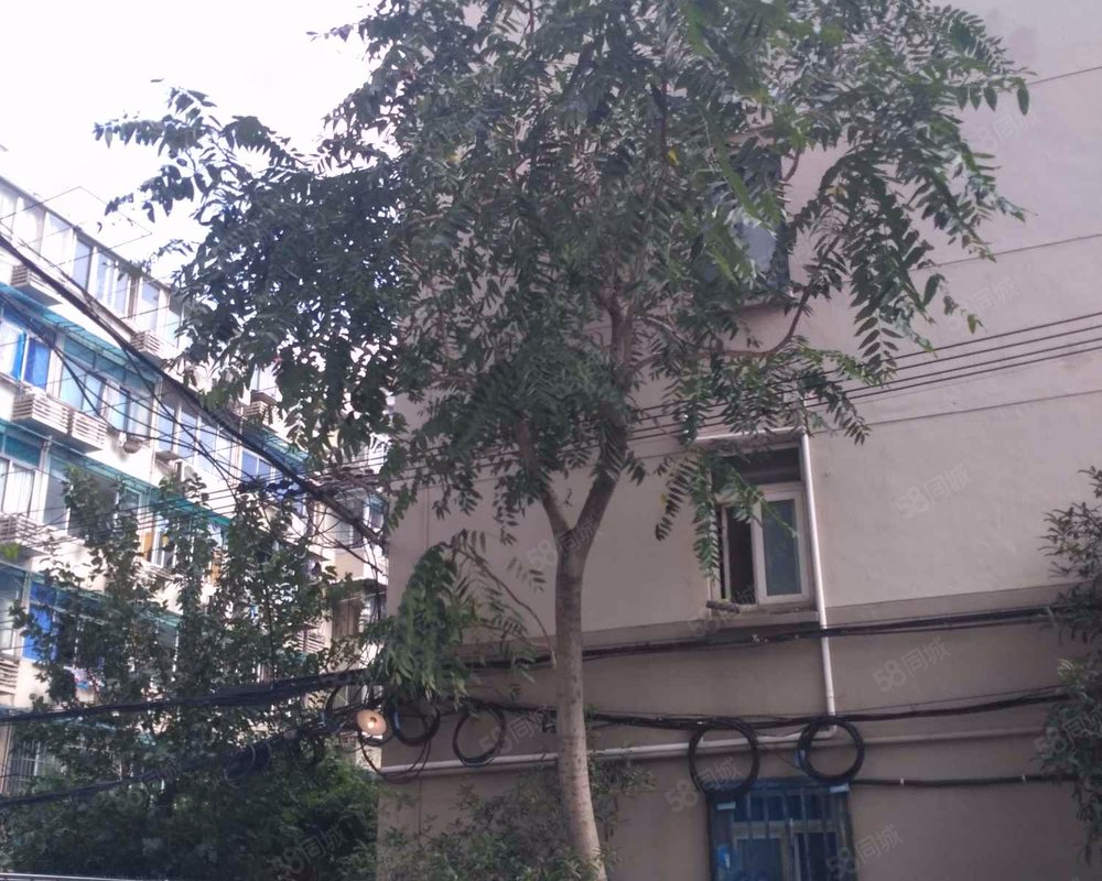 【鲁班公寓, 鲁班公寓小区详情,房价走势,房源,业主论坛】- 上海58