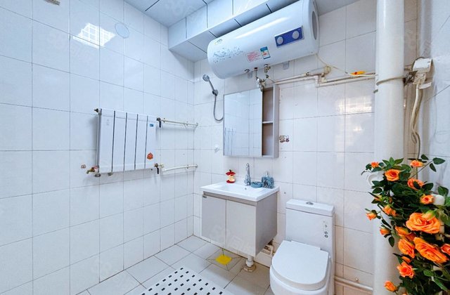 育红  对过皮革厂家属院一楼带院 精装修 免大税