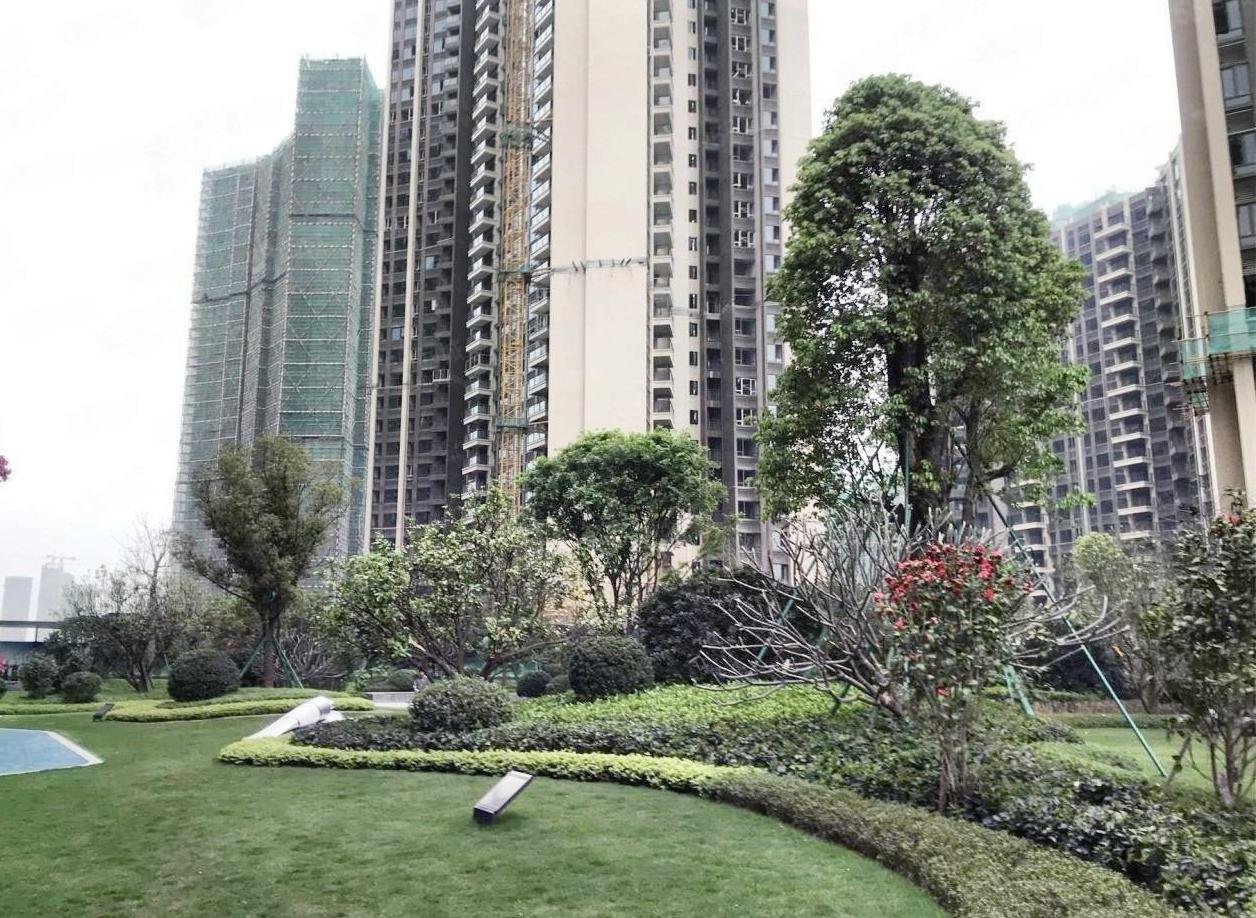 肇庆二手房>大旺高新区二手房>大旺二手房>龙光玖龙湖(商住楼)>1256