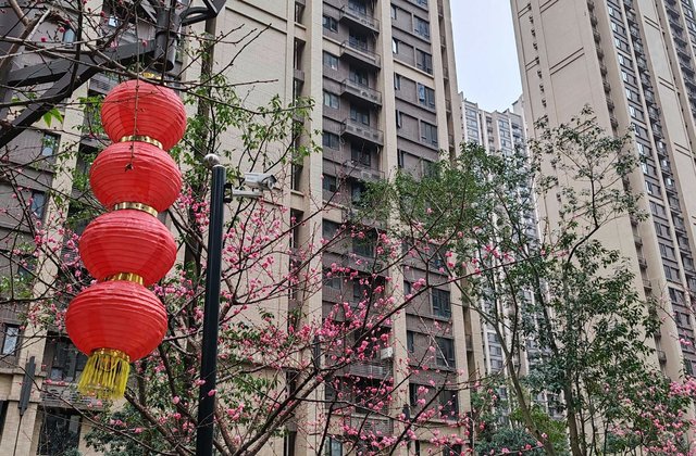 时代倾城(二期)4室2厅115㎡89万二手房图片