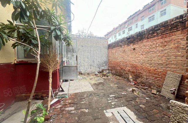 人民公园西，一楼带院60平，三室朝阳，金鼎，市中心，育新街