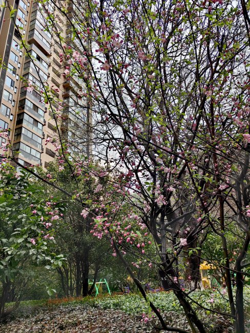 大岭路13-19号小区2室2厅0卫70㎡南35万