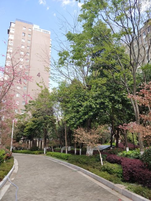 金江小区瑞园5室3厅4卫286㎡南北560万