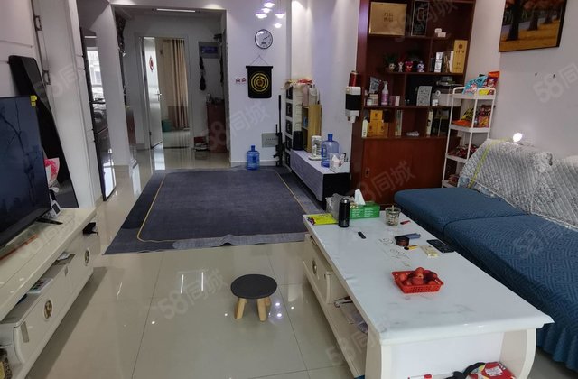 房东急售 西湖馨园 3室 60万露头 电梯洋房 出门郁光实验