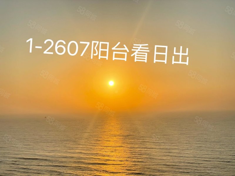 鼎龙湾万千海1室1厅1卫48㎡东29.8万