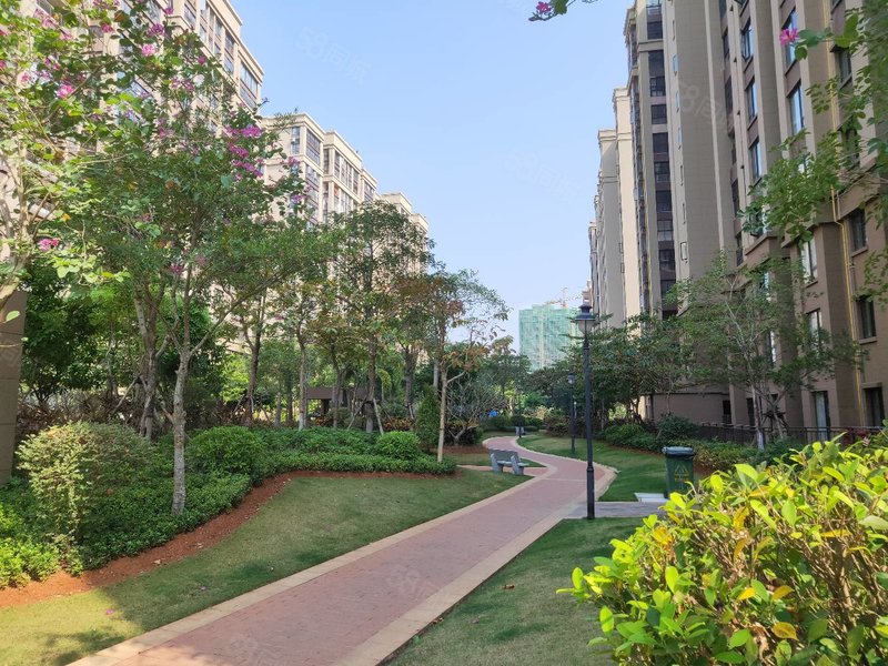 海口江东新区 绿地城雅园 精装三房 南北通透 户型有送面积