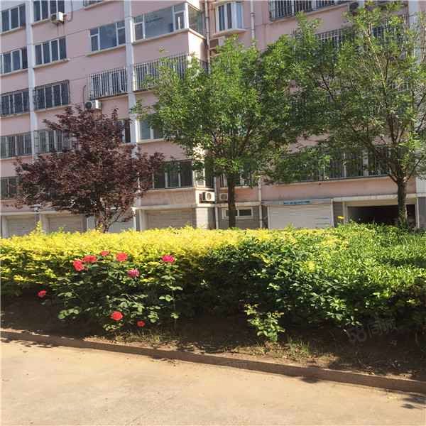 【锦城花园, 锦城花园小区详情,房价走势,房源,业主论坛】- 滨州58