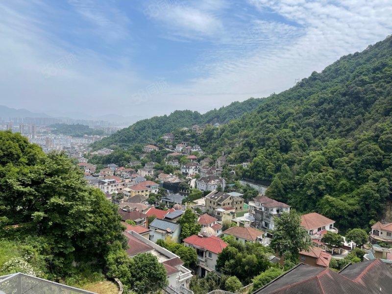 8亩诚售288万,龙峰山庄-温州58同城