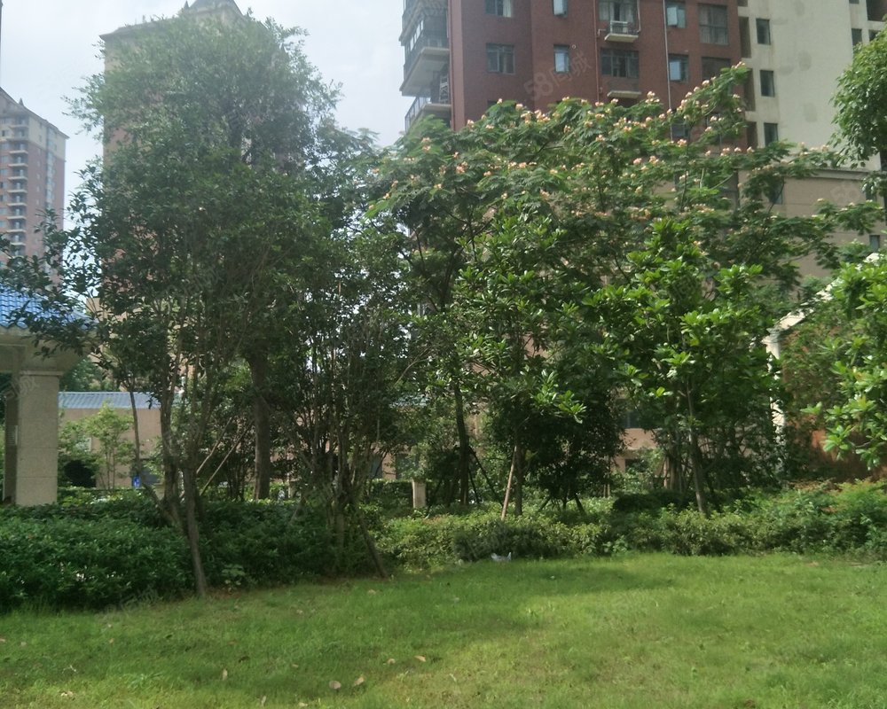 【南湖锦园, 南湖锦园小区详情,房价走势,房源,业主论坛】- 武汉58