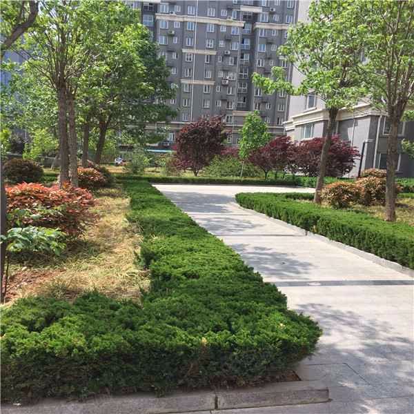 【御景苑(肥城), 御景苑(肥城)小区详情,房价走势,房源,业主论坛】