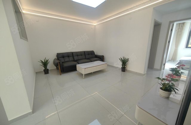 老东昌 兴华路 金鼎旁 精装三室地暖房 新房未住