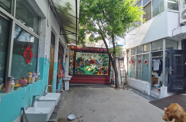 文轩总校 地上2层别墅 5室3厅3卫 带大院子