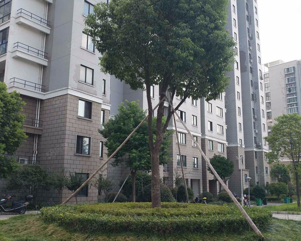 【南洲花园, 南洲花园小区详情,房价走势,房源,业主论坛】- 义乌58