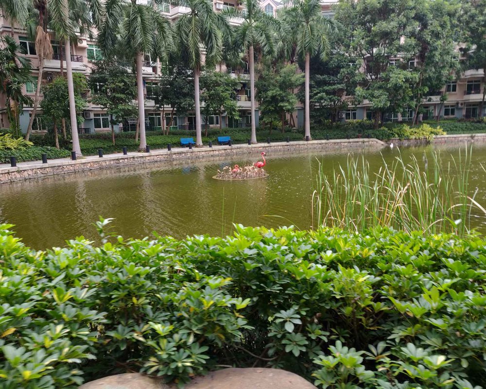 【雍景园, 雍景园小区详情,房价走势,房源,业主论坛】- 广州58同城