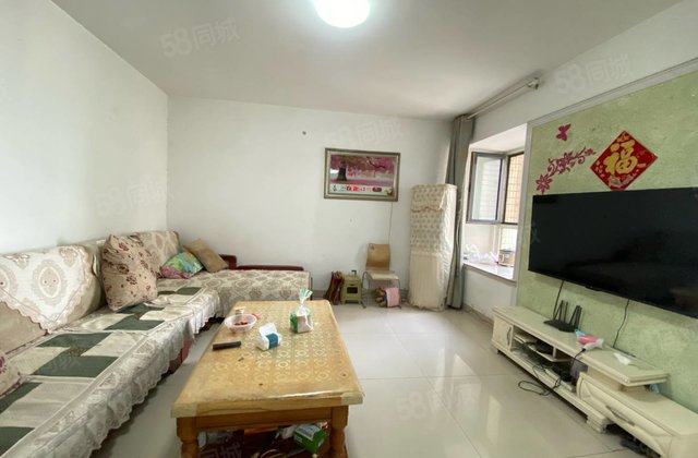 振兴路   电梯好楼层 温馨两居室