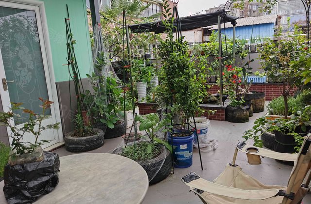 一椽坊3室1厅83.86㎡128万二手房图片