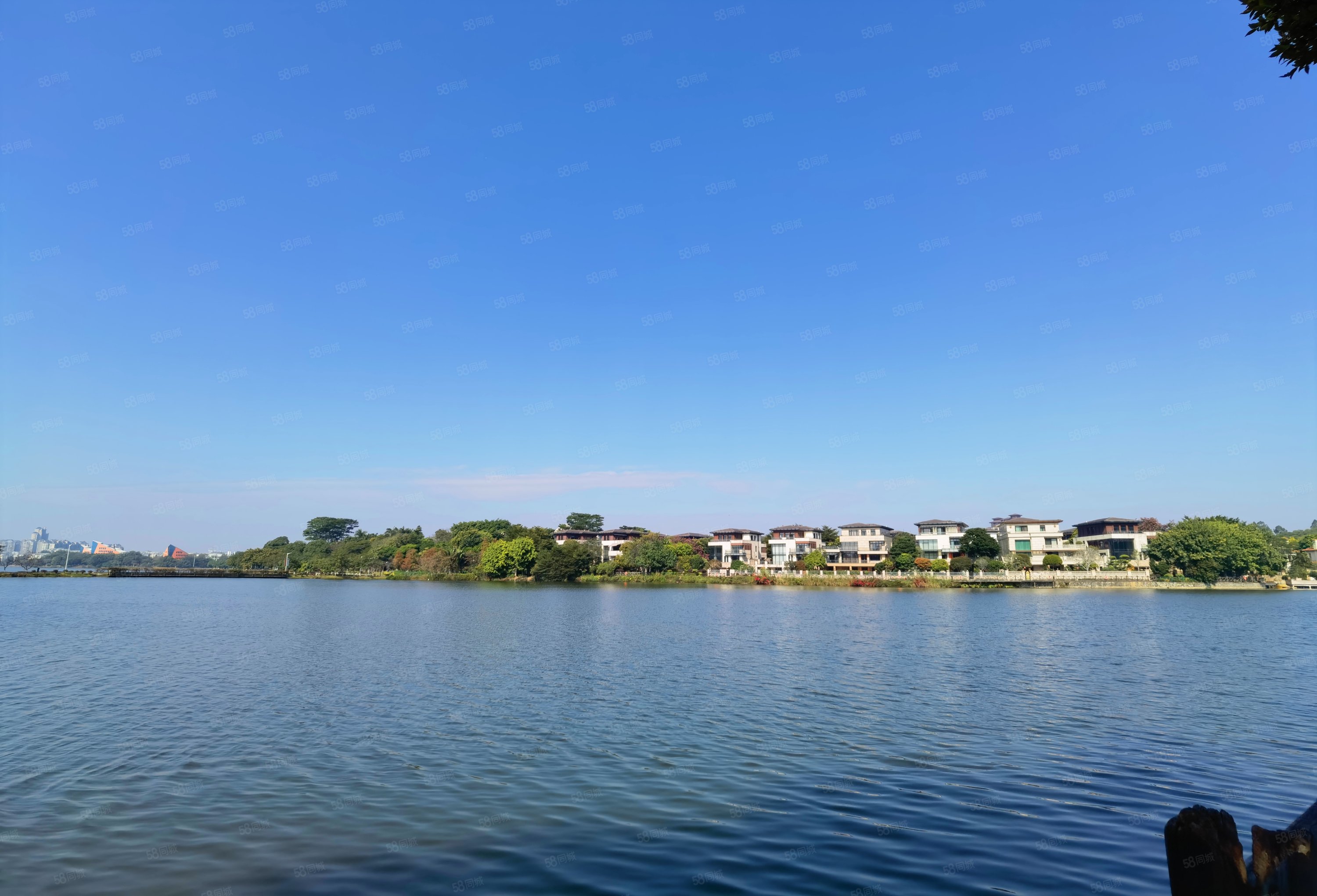 万科虹溪诺雅高层湖景四房每个房间都看湖南北通透随时看