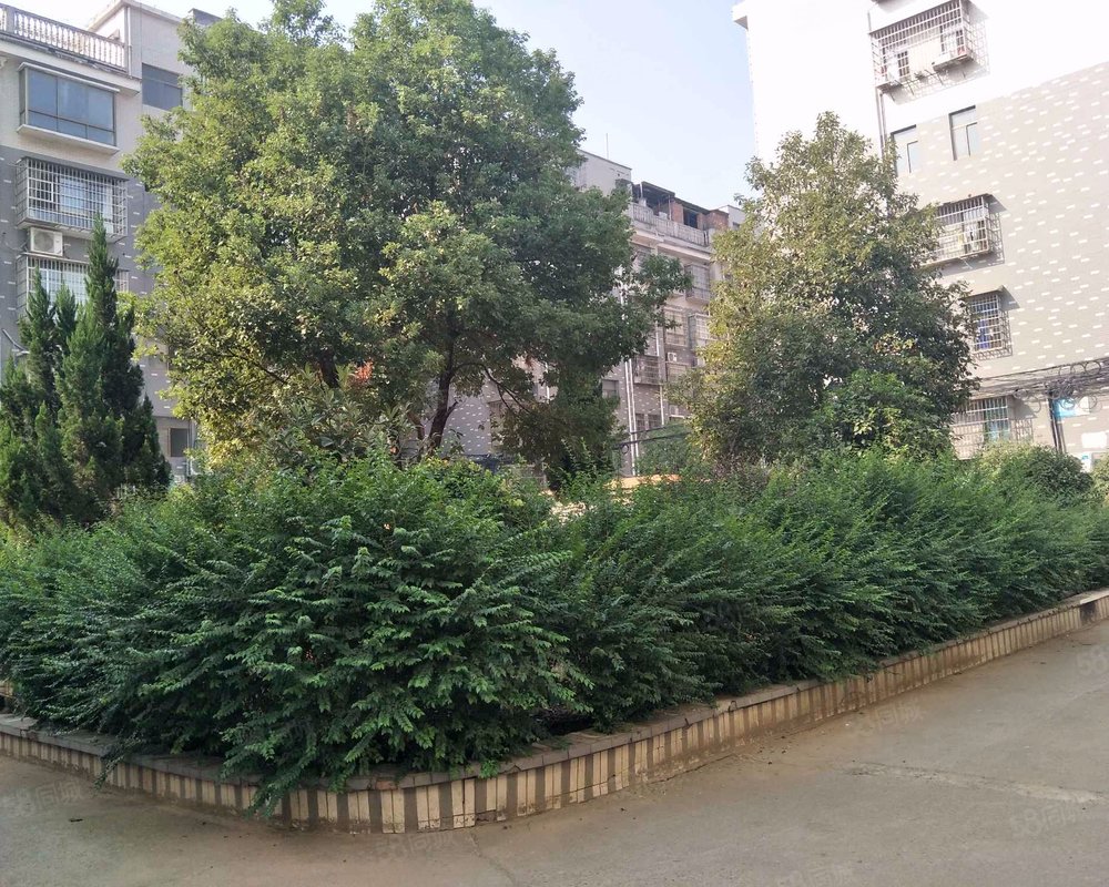 【冠华槟榔园, 冠华槟榔园小区详情,房价走势,房源,业主论坛】- 湘潭