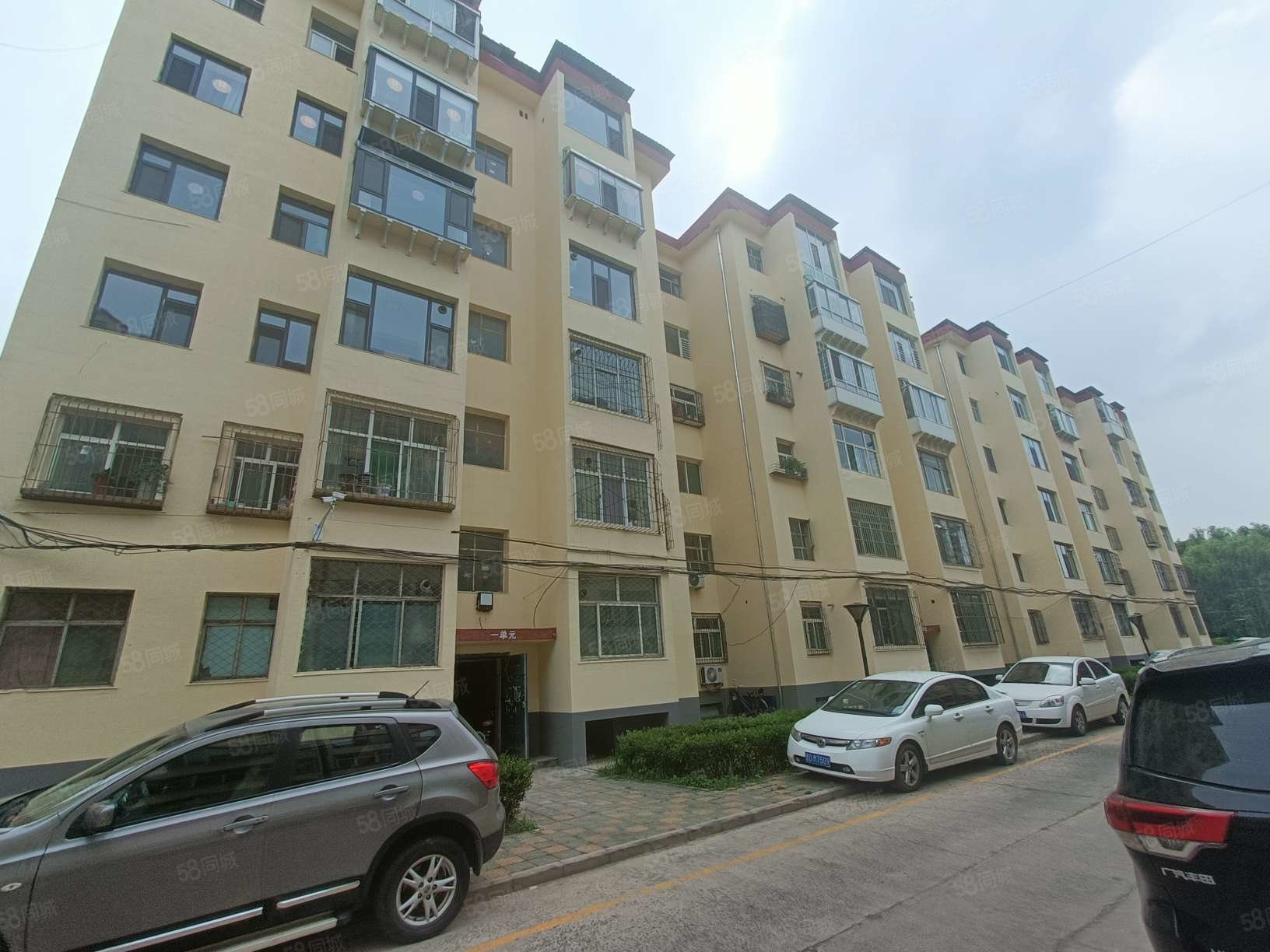 康乐小区(延安南路)4室2厅2卫155㎡南北150万