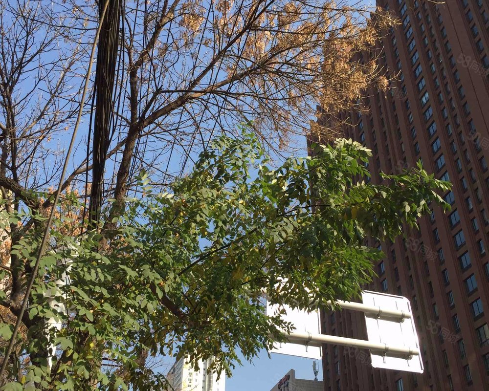 【中环广场, 中环广场小区详情,房价走势,房源,业主论坛】- 兰州58