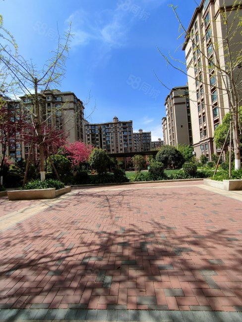 博雅苑4室2厅135平满二精装修40多万狂降