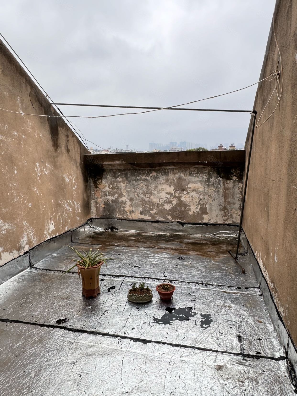 文帝街小区3室2厅1卫95.8㎡南31万