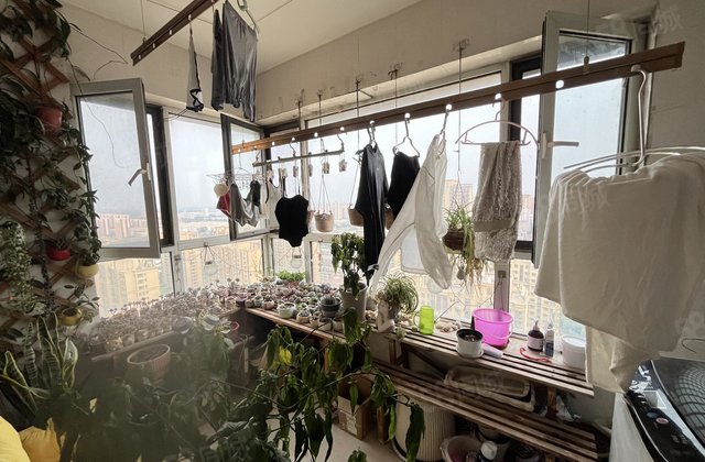 星光东昌丽都(南区) 满二   双卫格局 商品房 四居室