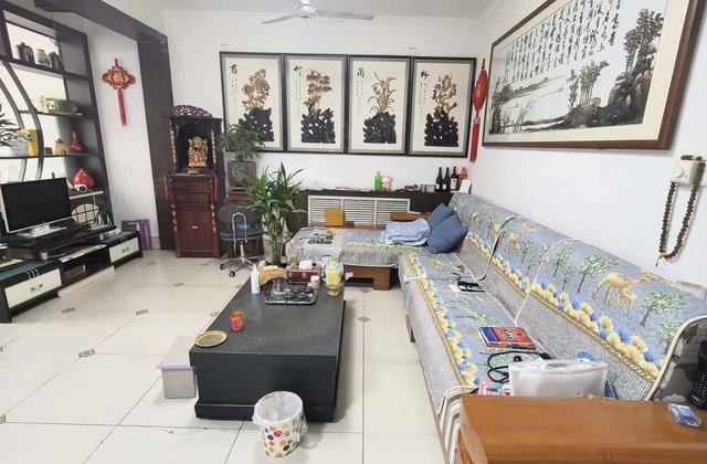 文轩本部 一中 公安局小区 三楼大三居 免大税 停车方便