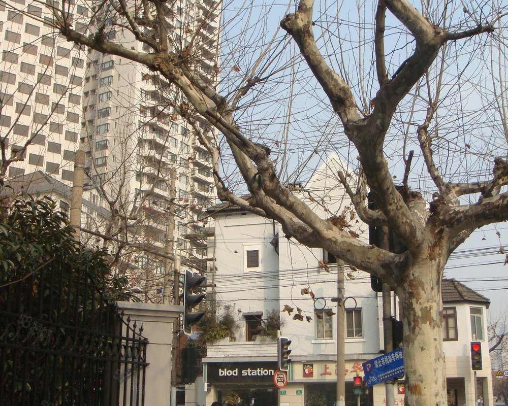 【巨鹿路374弄小区, 巨鹿路374弄小区小区详情,房价走势,房源,业主