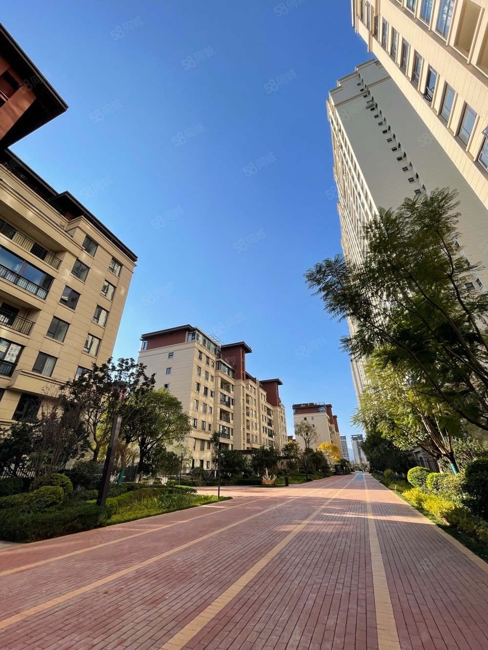 【10图】玉溪大河旁 红星天铂 172平米大平层带双车位,红星国际-玉溪