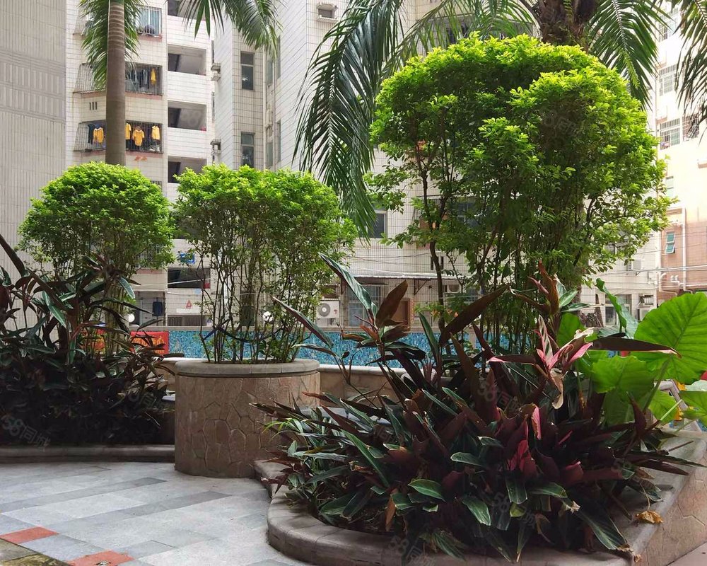 【现代城华庭, 现代城华庭小区详情,房价走势,房源,业主论坛】- 深圳