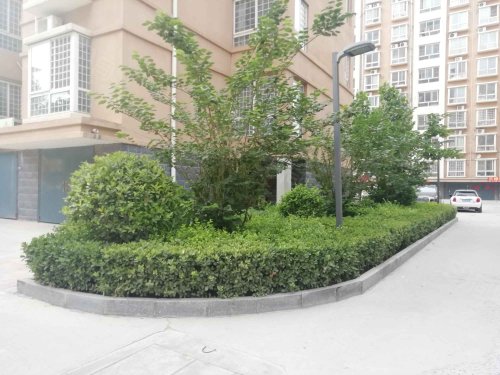 【水岸鑫城房价走势,水岸鑫城房屋出租,水岸鑫城二手房出售】- 东明58