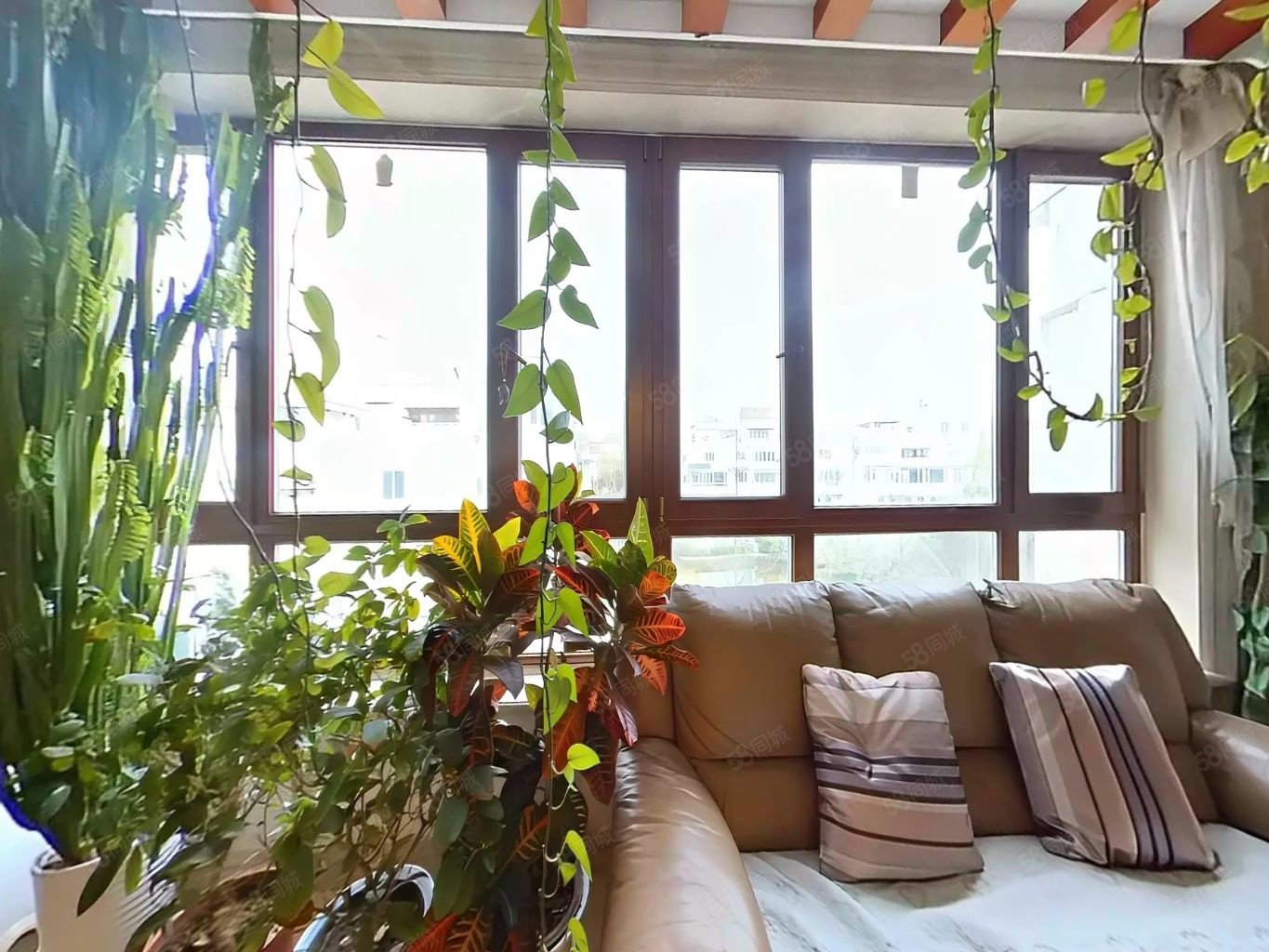 贏海莊園6室2廳4衛(wèi)338.11㎡南北1188萬(wàn)