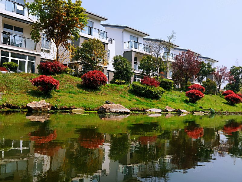 如皋翠湖湾!260平双拼别墅 送花园600平 环境好 配套全