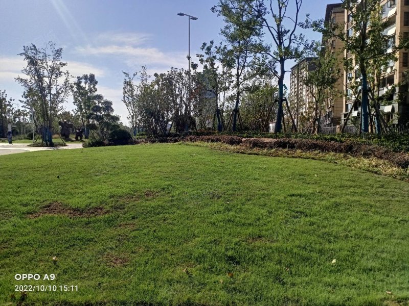 远大舒州府3室2厅1卫103㎡南北71.8万