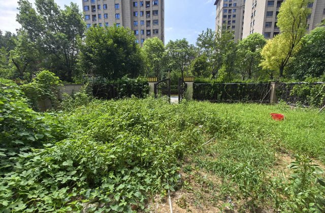 置地清苑3室2厅145㎡148万二手房图片