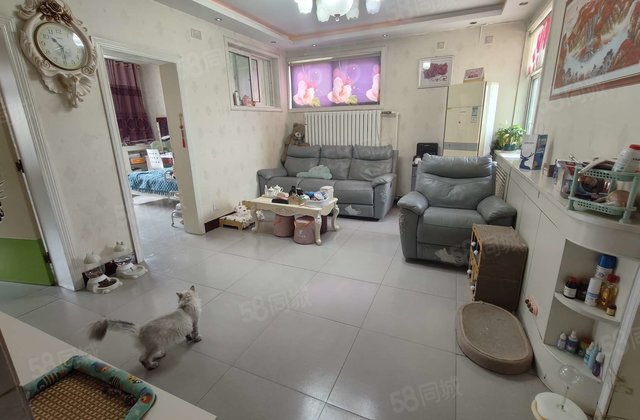 开发区 实验   精装三室 步梯非顶