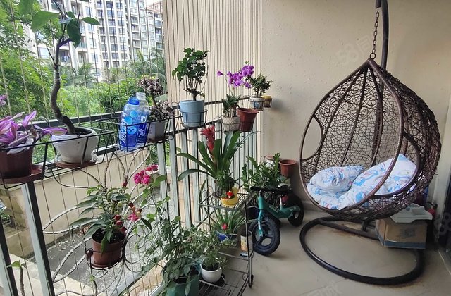 万宁国瑞城3室2厅115.5㎡90万二手房图片