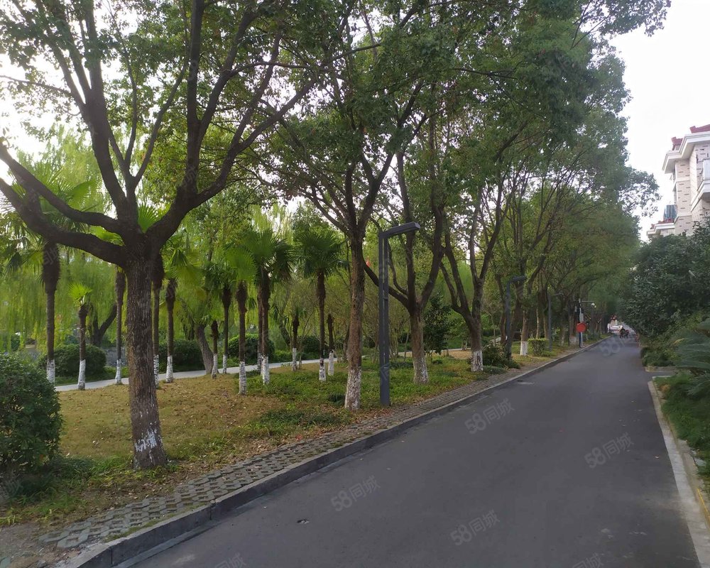 村二区, 三星桥村二区小区详情,房价走势,房源,业主论坛】- 温岭58